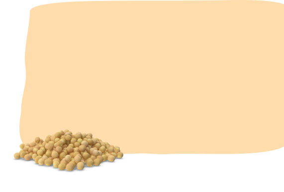 shape